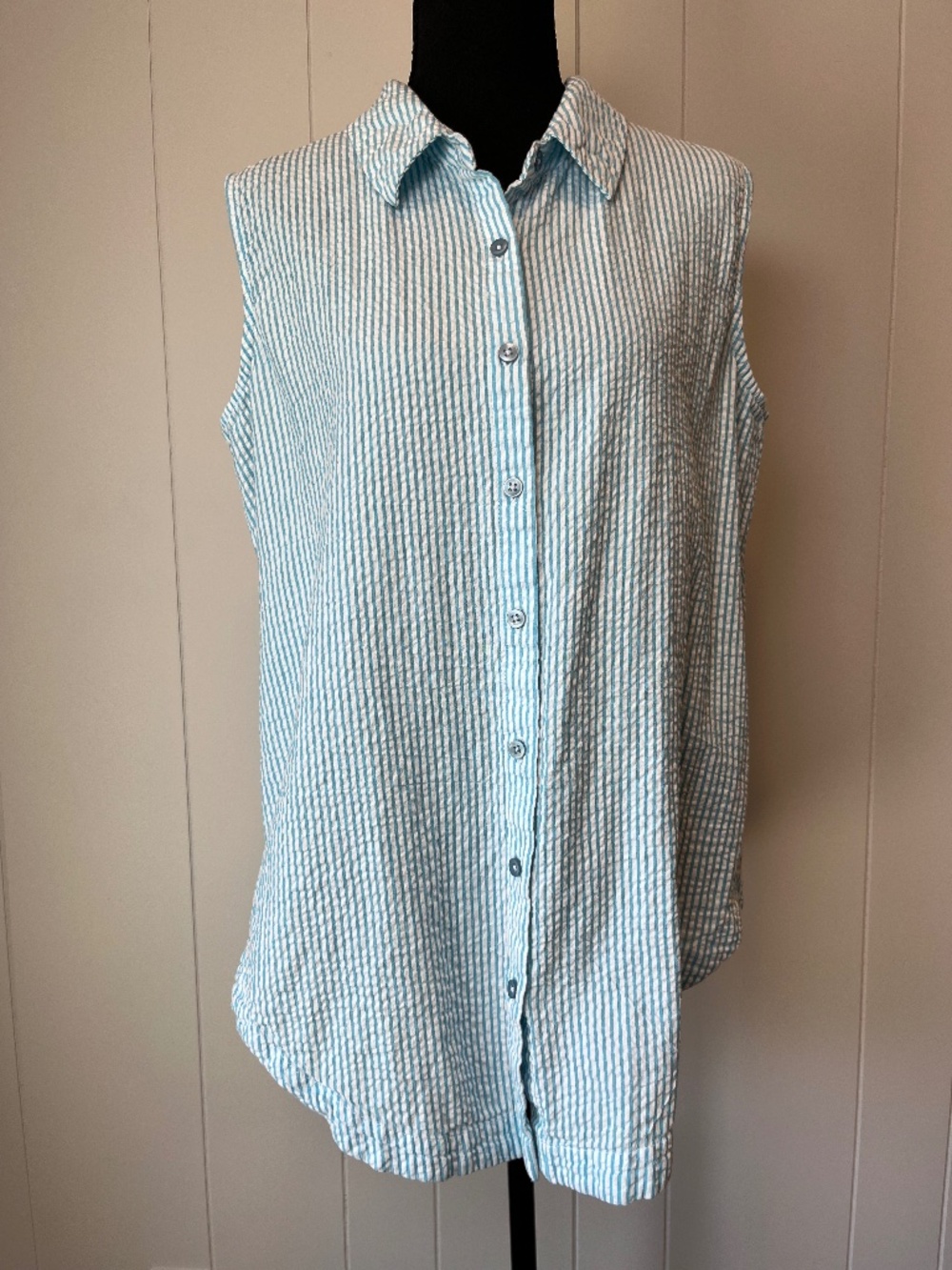 Cottagecore Coastal Country Seersucker Sleeveless Button Down Shirt  sz L
